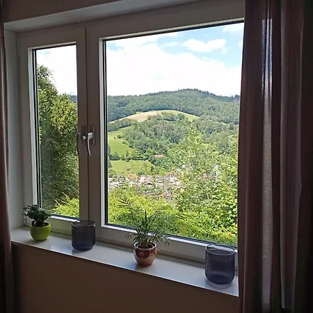 Tor Zum Odenwald Apartment