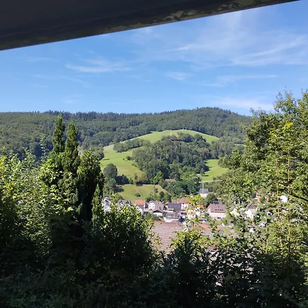 Apartment Tor Zum Odenwald